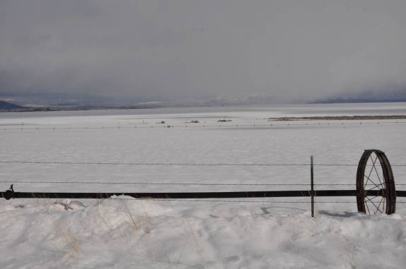 Neve até onde a vista alcança, próximo à Susanville, na Sierra Nevada, Califórnoa, nos Estados Unidos